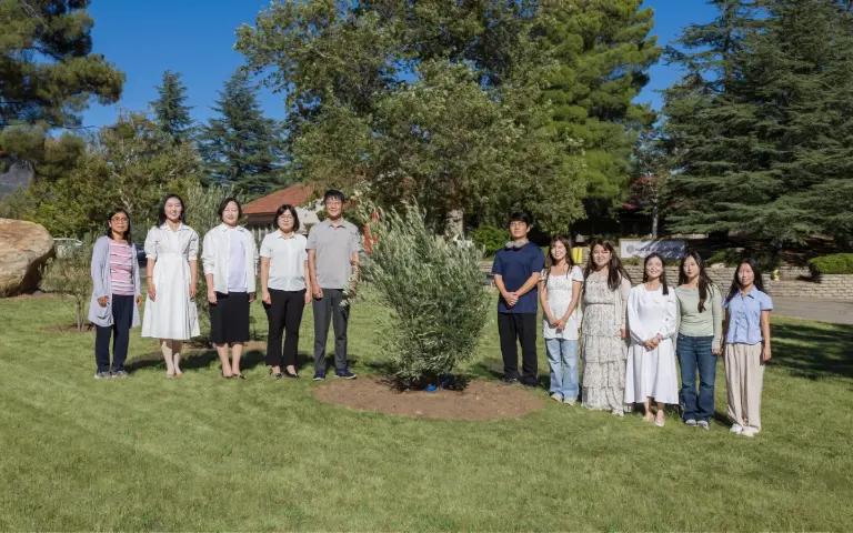 New Olive Tree Gifted to OU by the Graduating Class of 2026