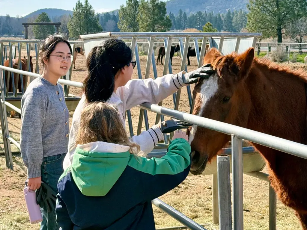 University Students Volunteer at Mountain Center Nonprofit