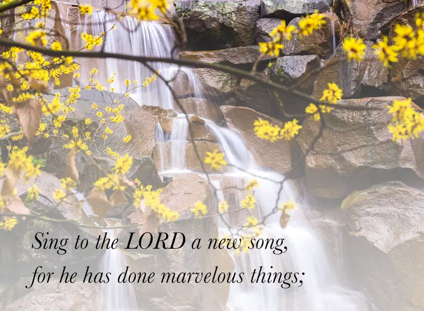 Always Singing: Look to the Psalms - Dr. Merril Smoak