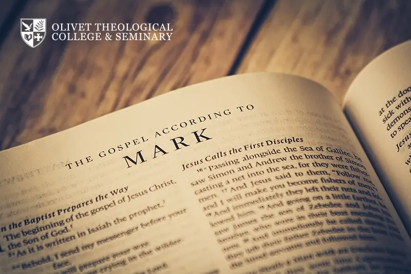 OTCS Motivates Online Learning with New Testament I Course